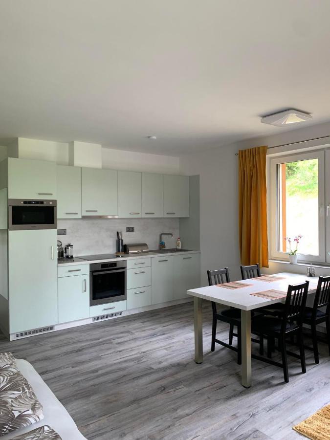 Apartman U Lomu Dolní Morava 外观 照片